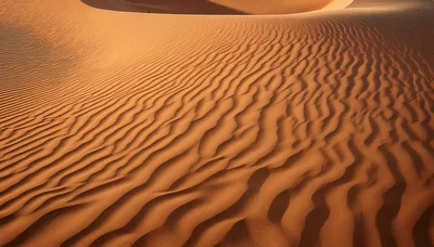 Rippled Sand Dunes In The Desert Landscape