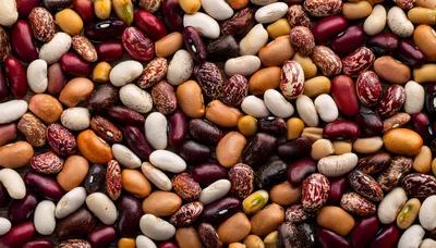 Assorted Dried Beans and Legumes Mix