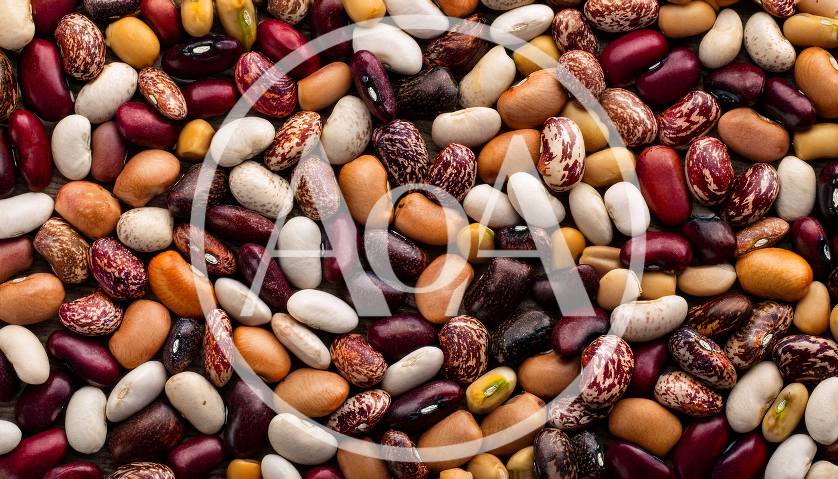 Assorted Dried Beans and Legumes Mix