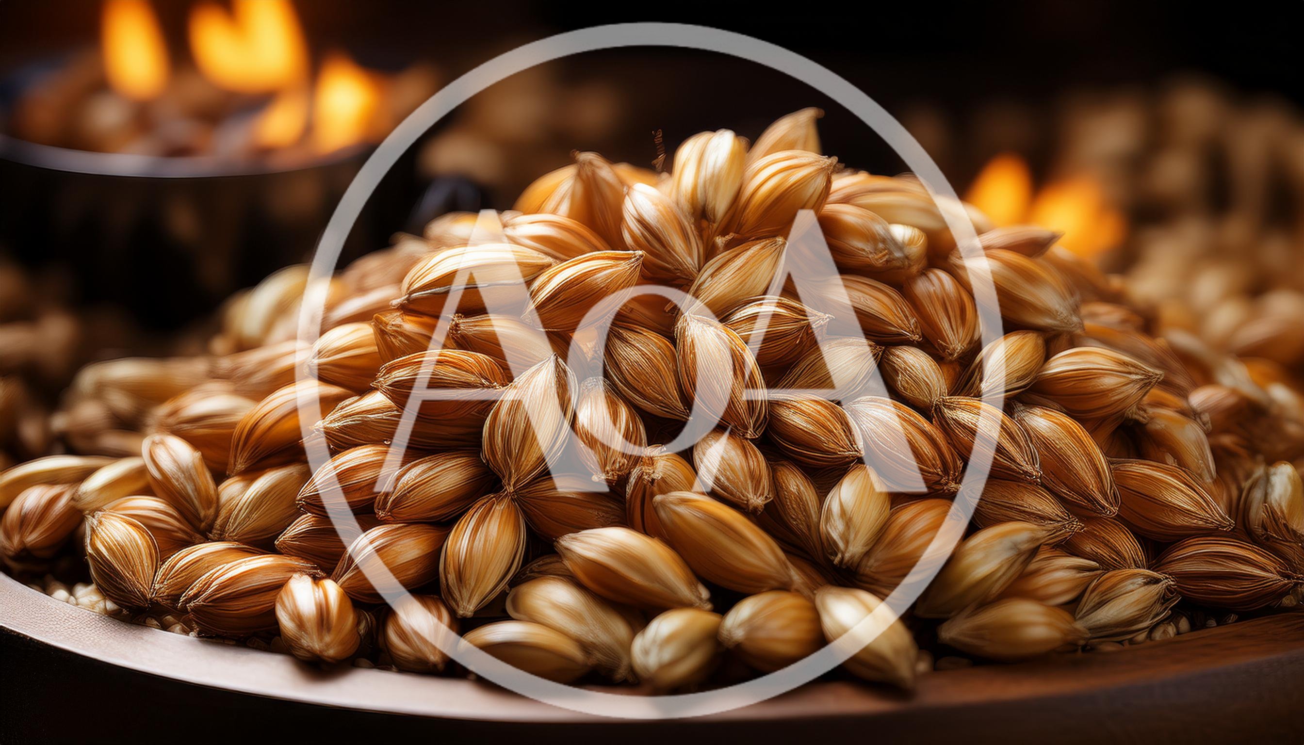 Close Up Of Roasted Barley Grains