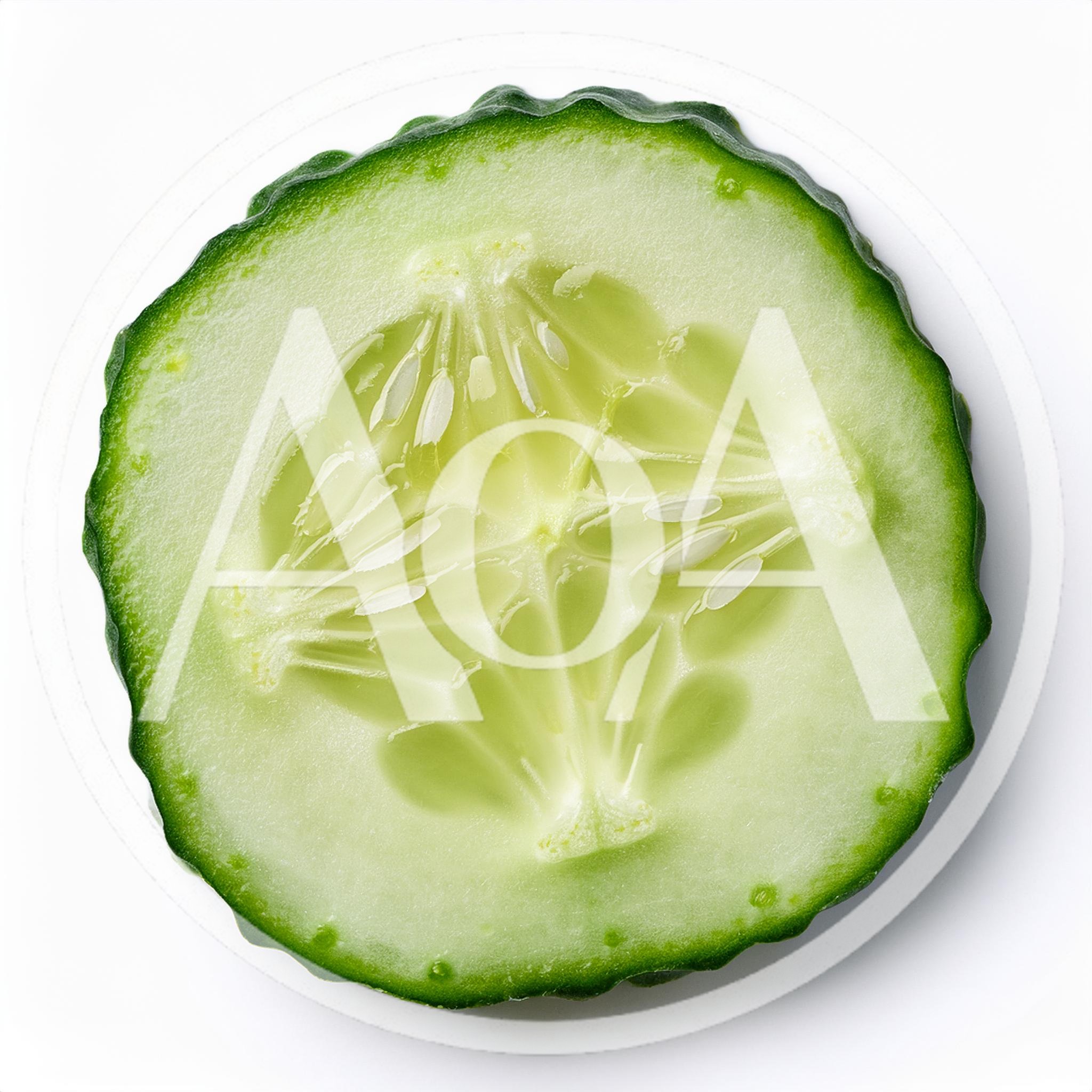 Fresh Cucumber Slice Isolated On White Background