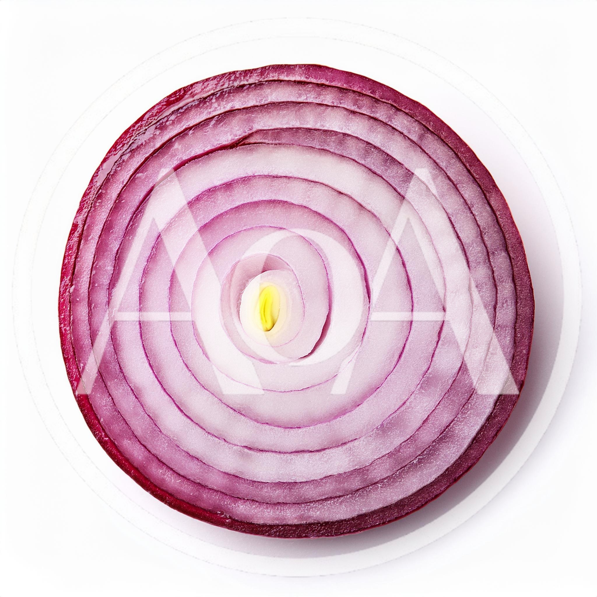 Cross Section Of A Fresh Red Onion