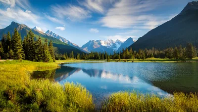 Scenic Mountain Lake Landscape With Pine Forest Reflection
