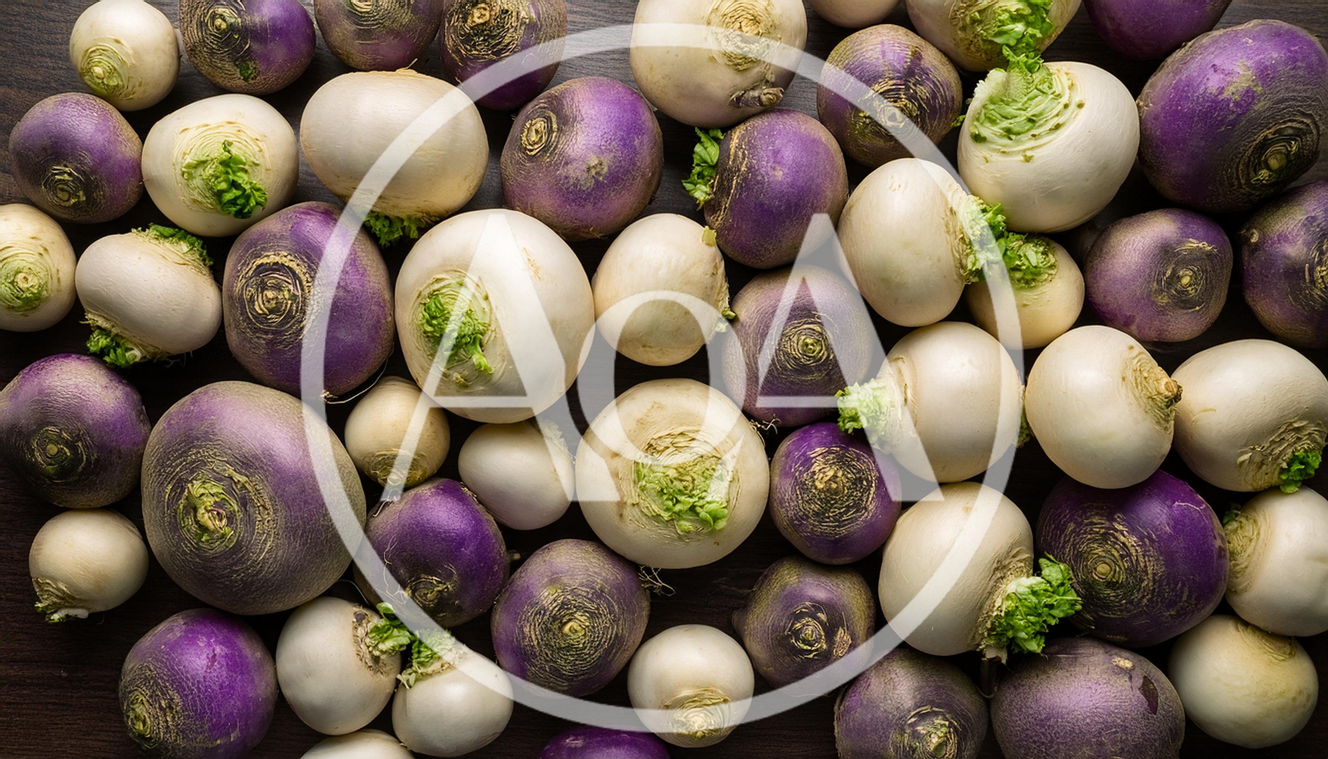 Top View Of Fresh Purple Top Turnips
