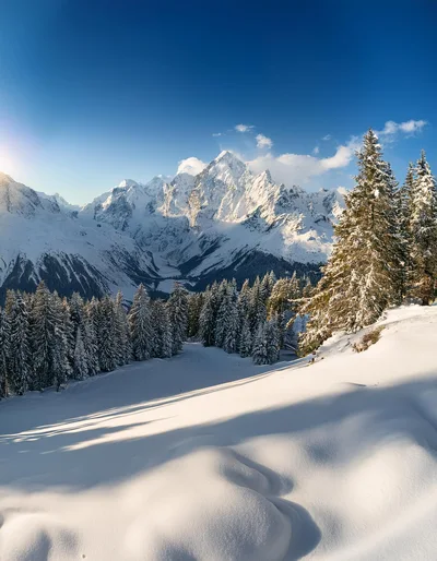 Snow Covered Alpine Mountain Landscape With Pine Forest