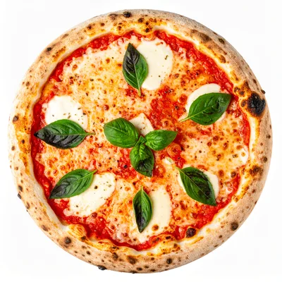 Fresh Margherita Pizza With Basil Leaves
