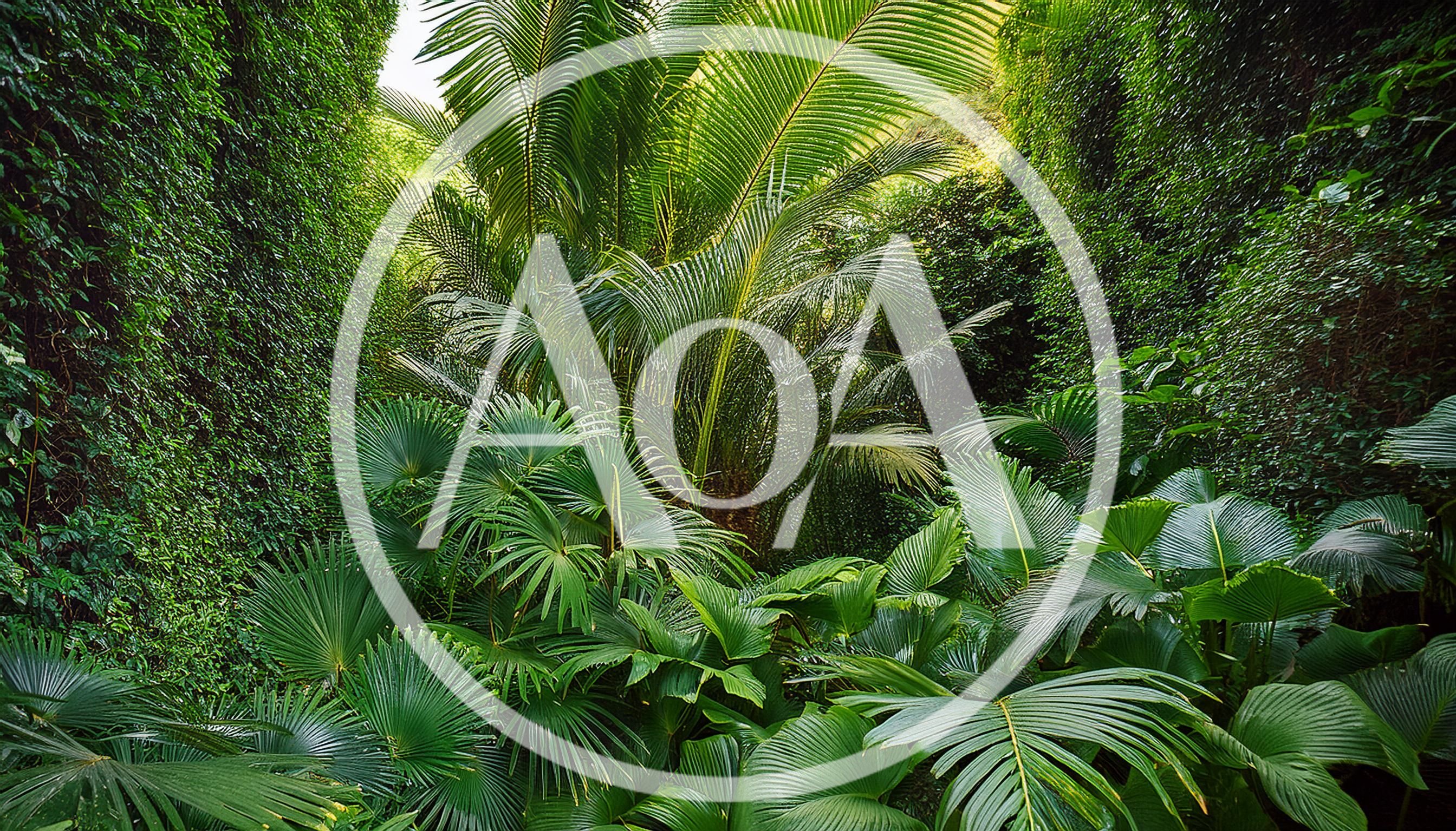 Lush Tropical Rainforest Foliage With Palm Trees