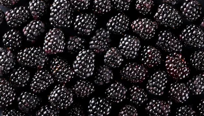 Fresh Ripe Blackberries Background Texture