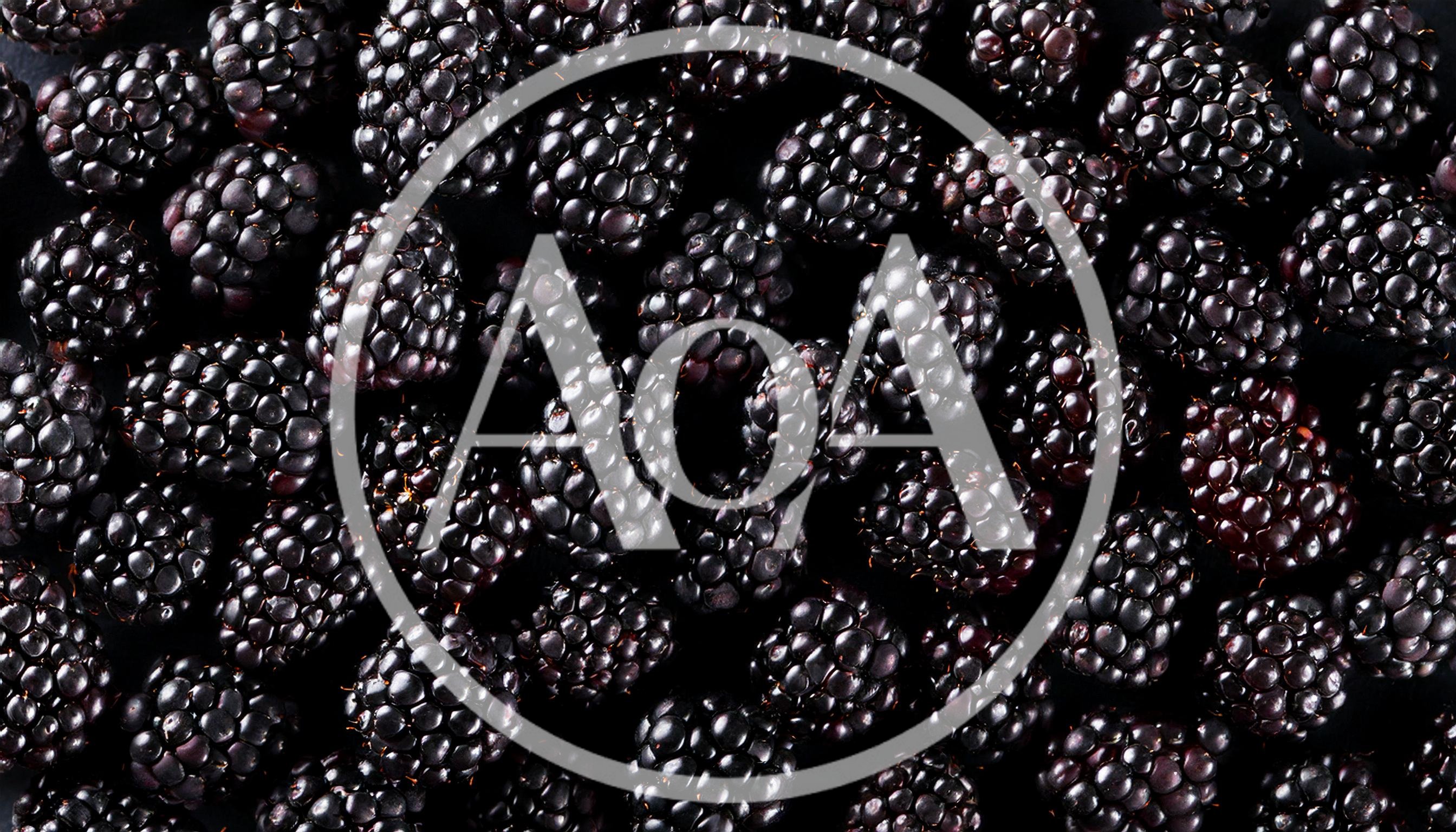 Fresh Ripe Blackberries Background Texture