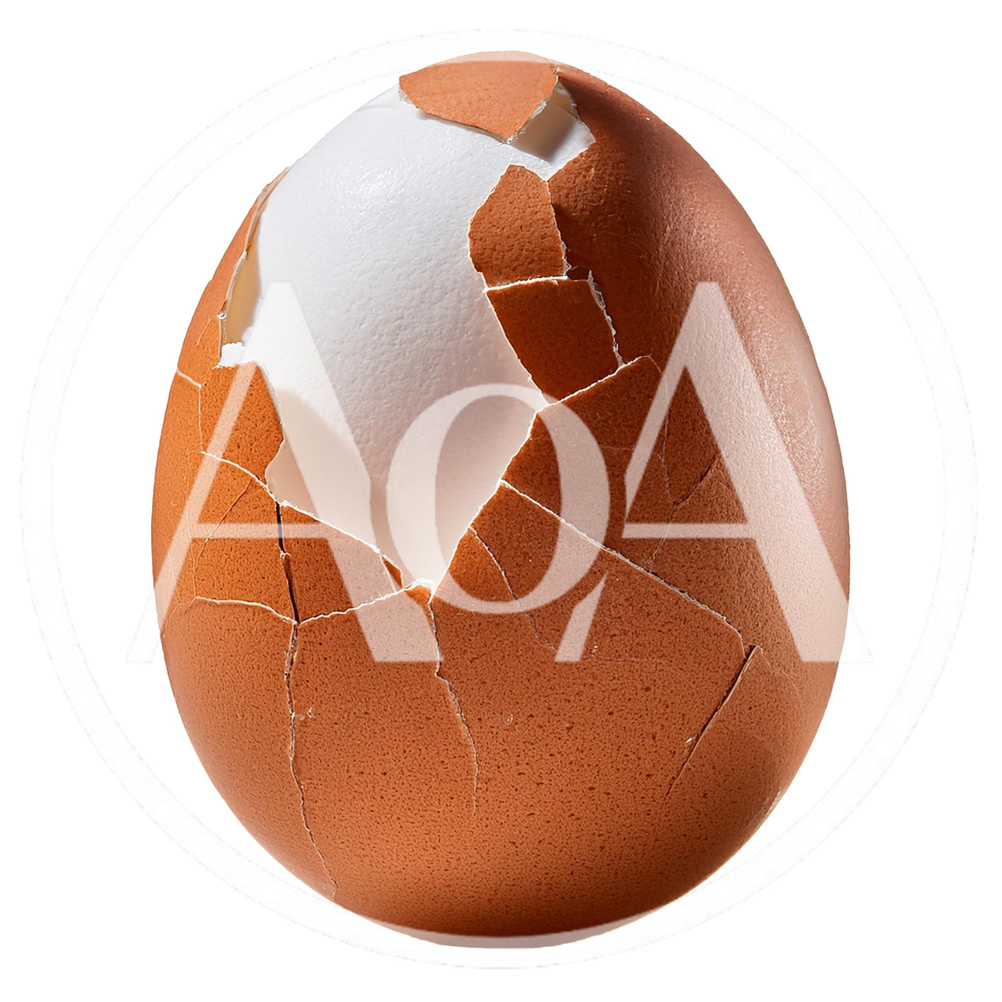 Cracked Brown Egg With Exposed White Interior