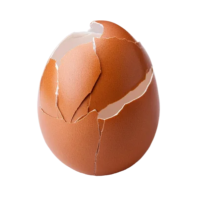 Cracked Brown Chicken Egg Shell Isolated