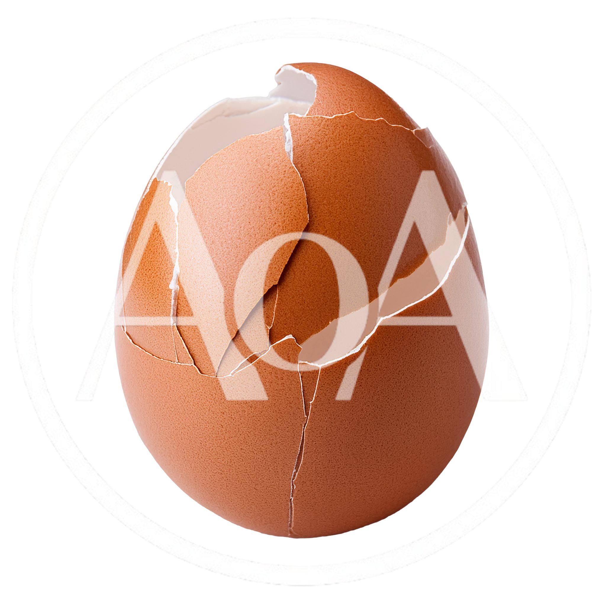 Cracked Brown Chicken Egg Shell Isolated