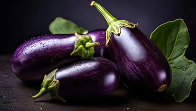 Fresh Purple Eggplants With Green Leaves