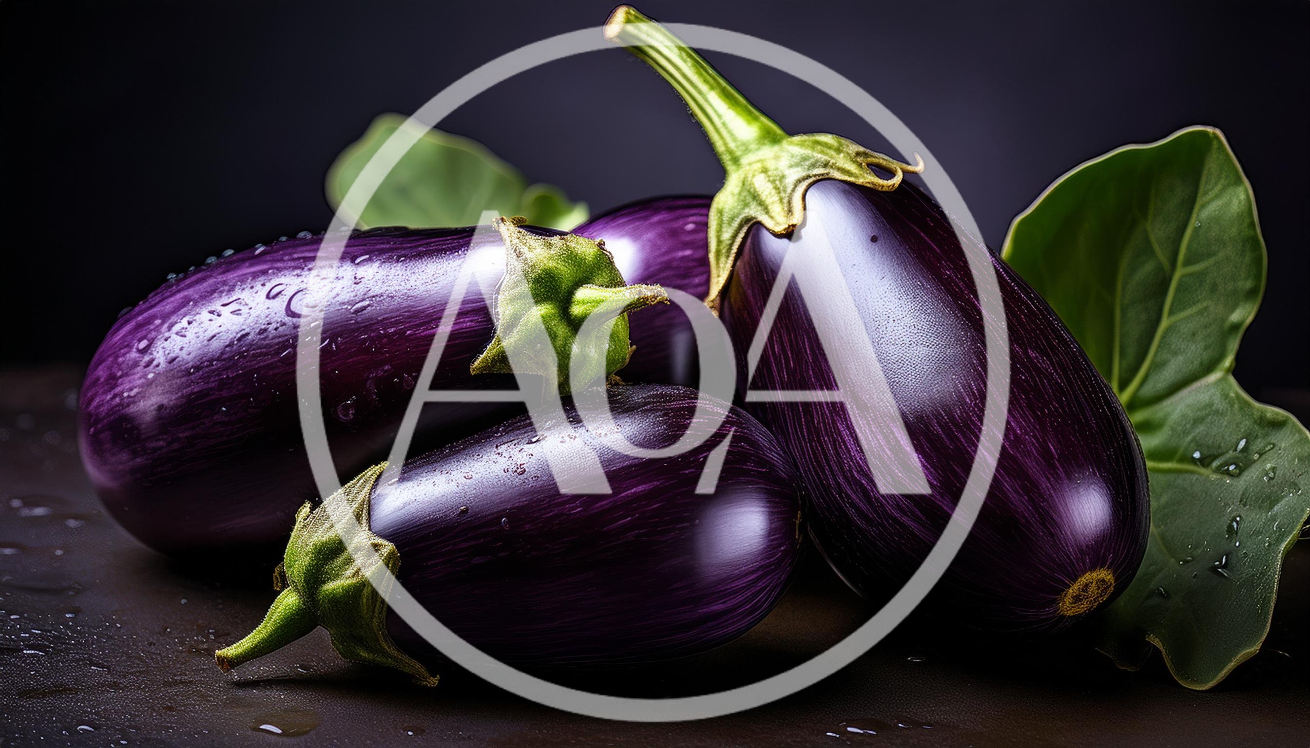 Fresh Purple Eggplants With Green Leaves