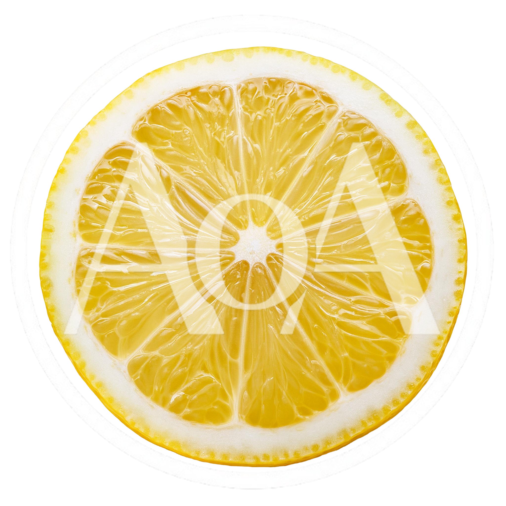 Fresh Lemon Slice Isolated On White Background