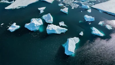 Aerial View Of Icebergs Floating In Arctic Ocean