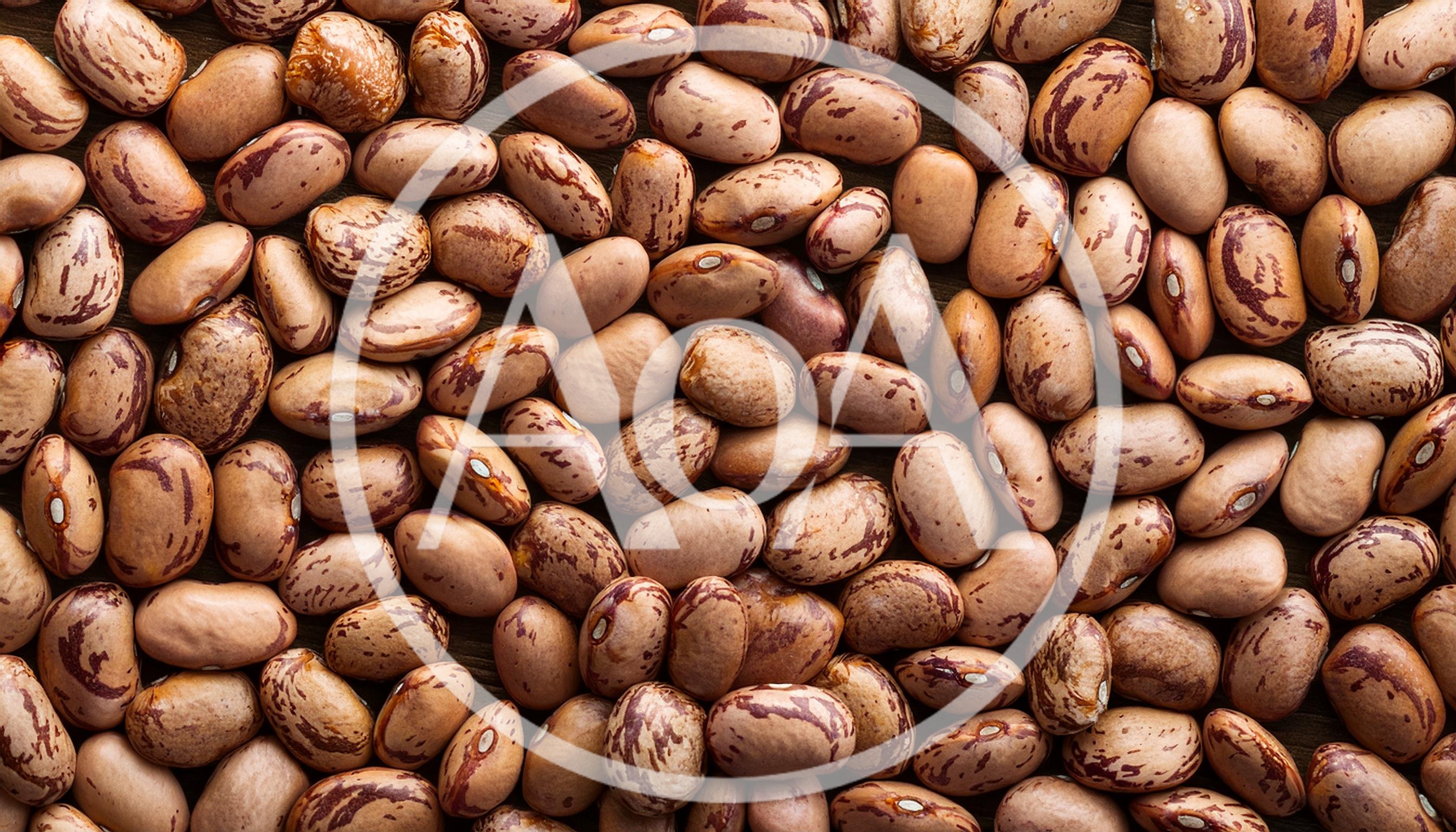 Top View Of Raw Pinto Beans Background