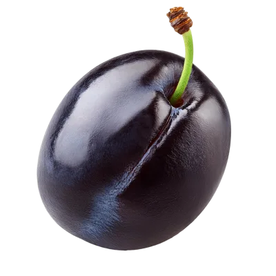 Single Fresh Ripe Plum With Stem Isolated
