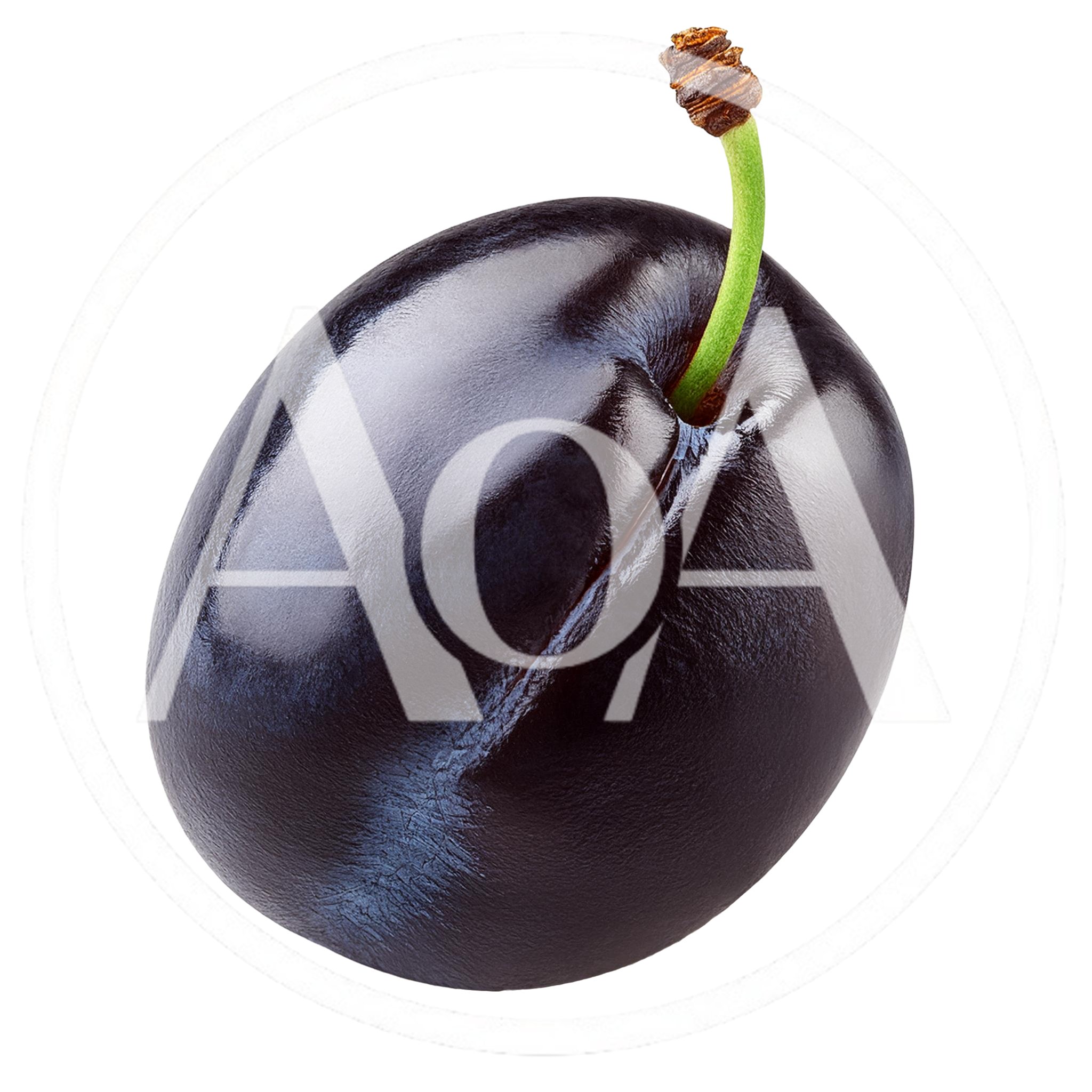 Single Fresh Ripe Plum With Stem Isolated