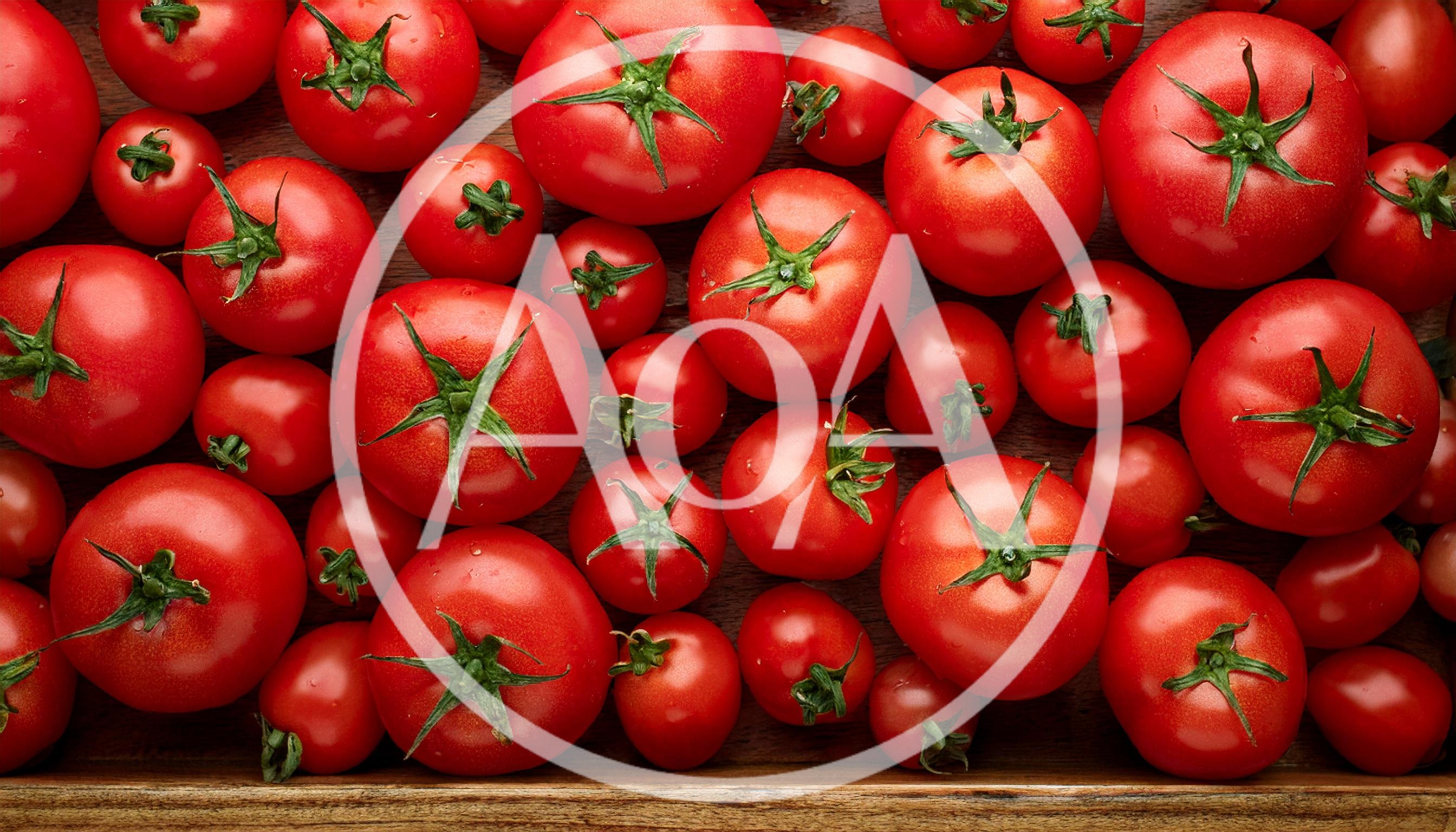 Fresh Red Tomatoes Arranged On A Wooden Surface