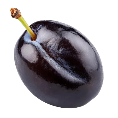 Single Fresh Ripe Purple Plum Isolated on White