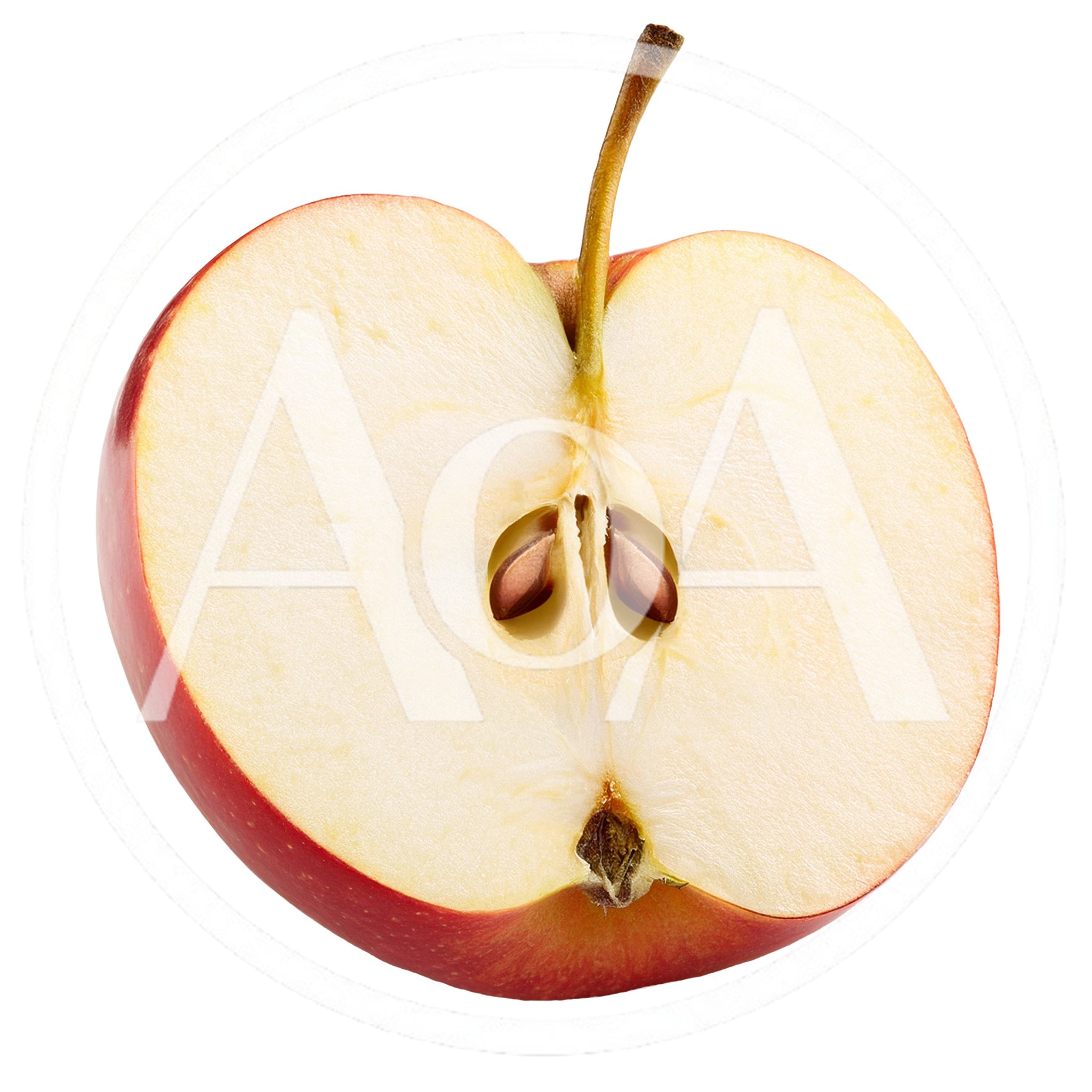 Fresh Red Apple Half Isolated On White Background