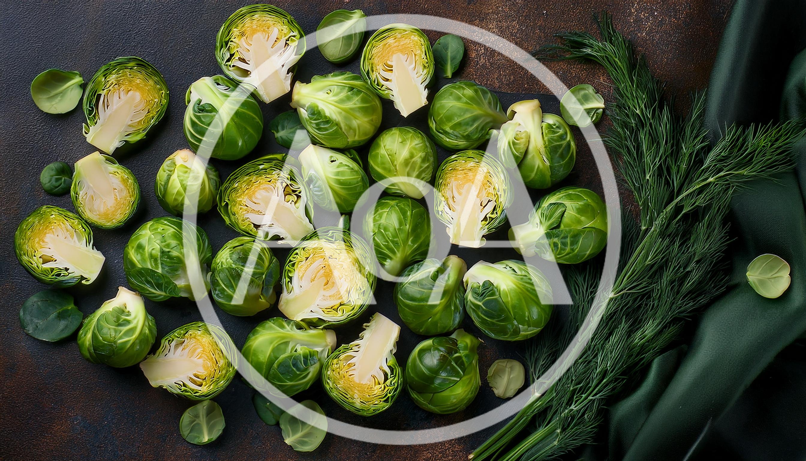 Fresh Brussels Sprouts and Dill on Dark Surface
