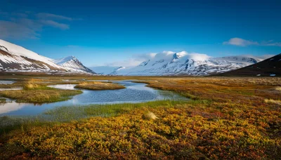 Autumn Tundra Landscape With Snow Capped Mountains