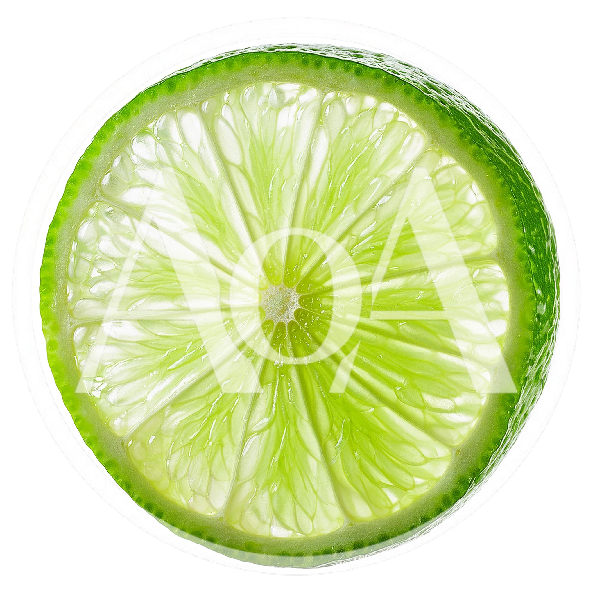 Fresh Lime Slice Isolated On White Background