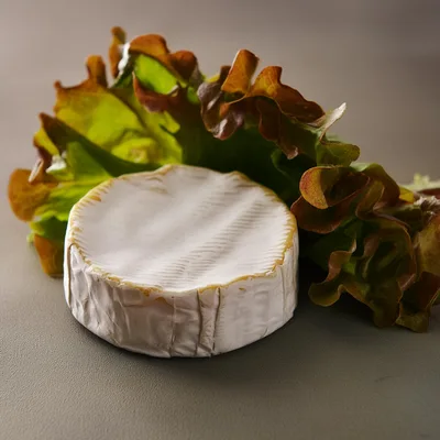Round Camembert Cheese Wheel With Fresh Lettuce Leaves