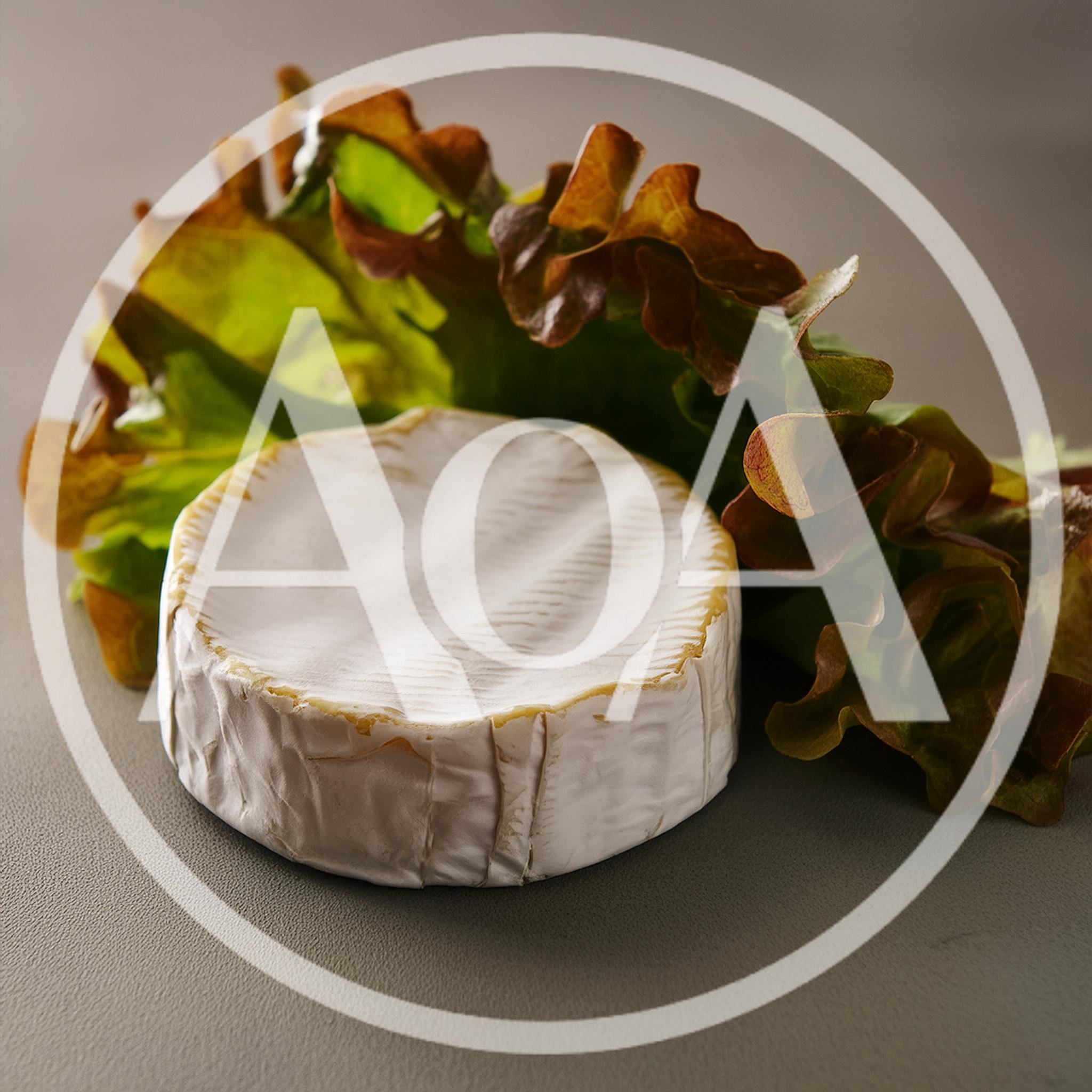 Round Camembert Cheese Wheel With Fresh Lettuce Leaves