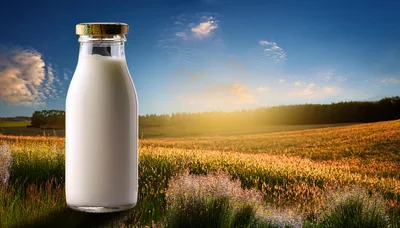 Glass Bottle Of Fresh Milk In A Sunny Meadow