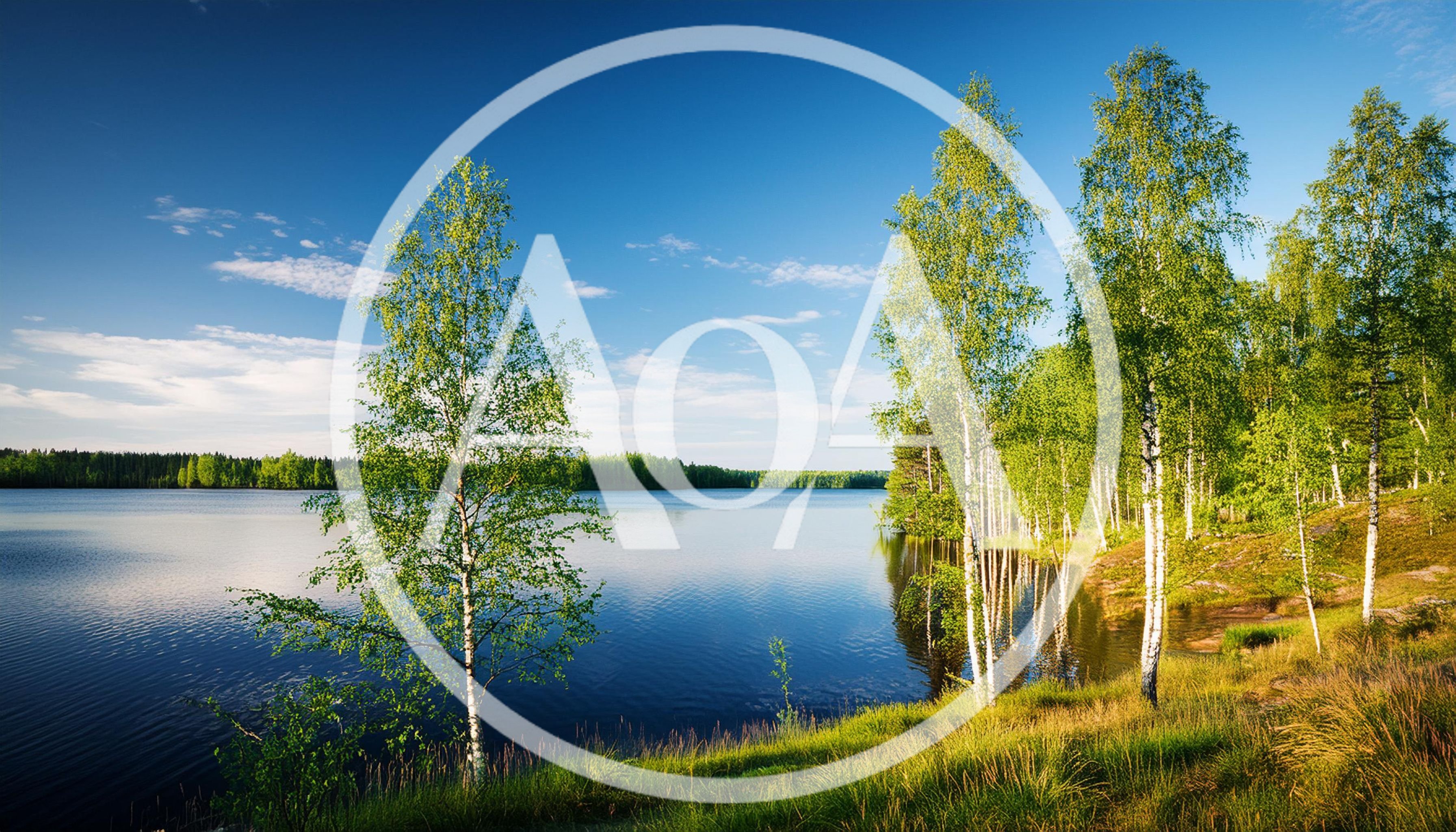 Birch Trees Along A Calm Finnish Lake