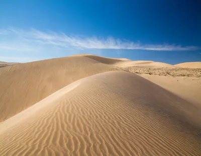 Expansive Sand Dunes Under A Clear Blue Sky