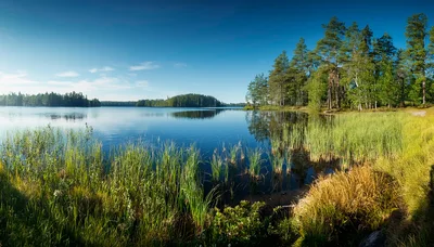 Panoramic View Of A Calm Finnish Lake In Summer