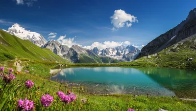 Alpine Lake With Wildflowers And Snow Capped Mountains