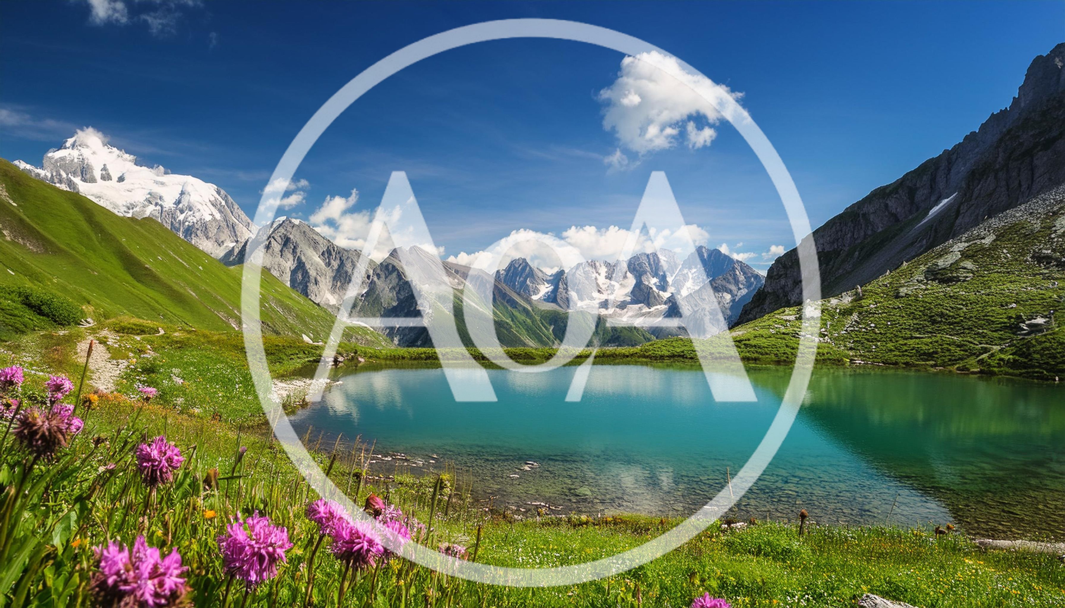 Alpine Lake With Wildflowers And Snow Capped Mountains