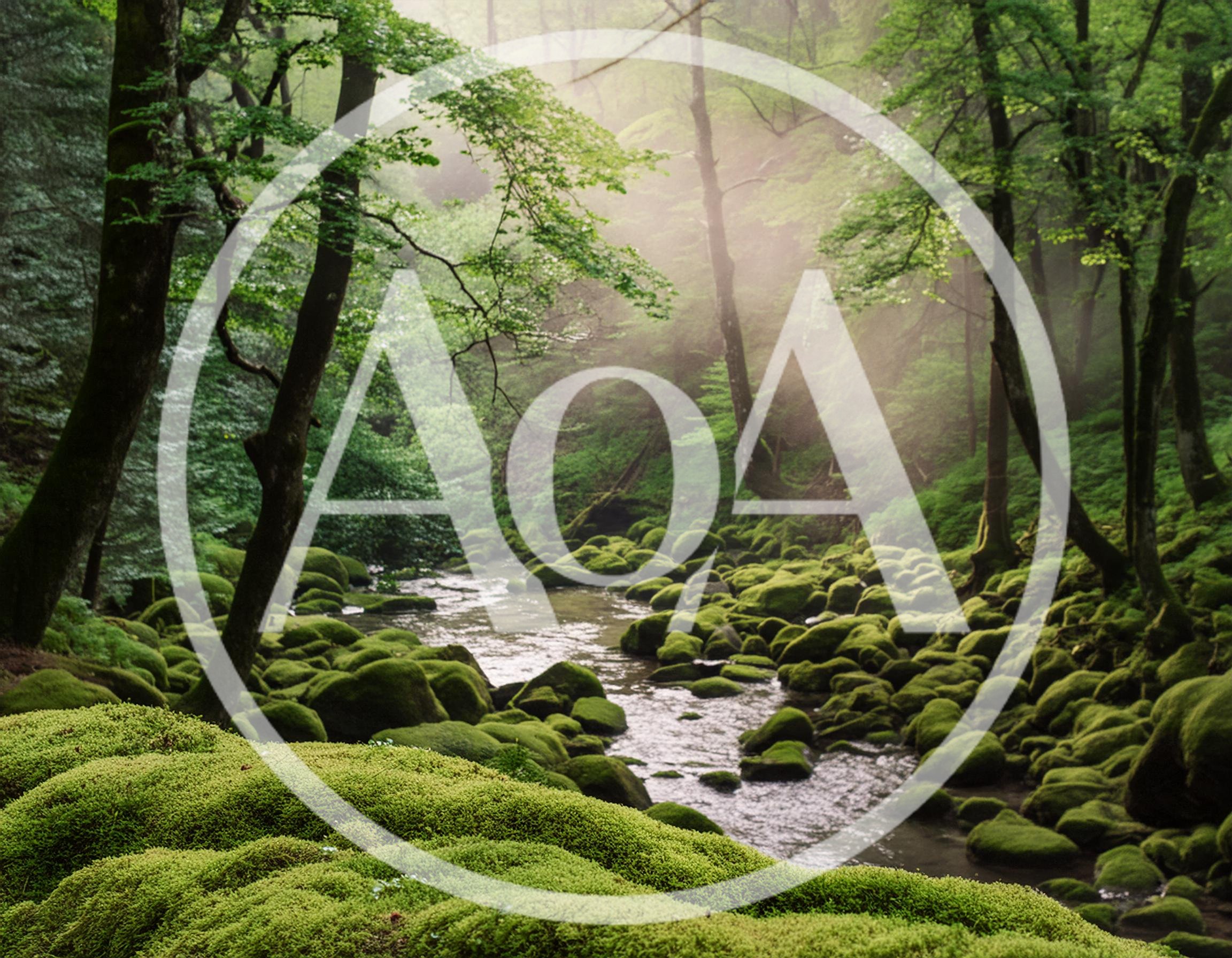 Mossy Rocks Along A Serene Forest Stream