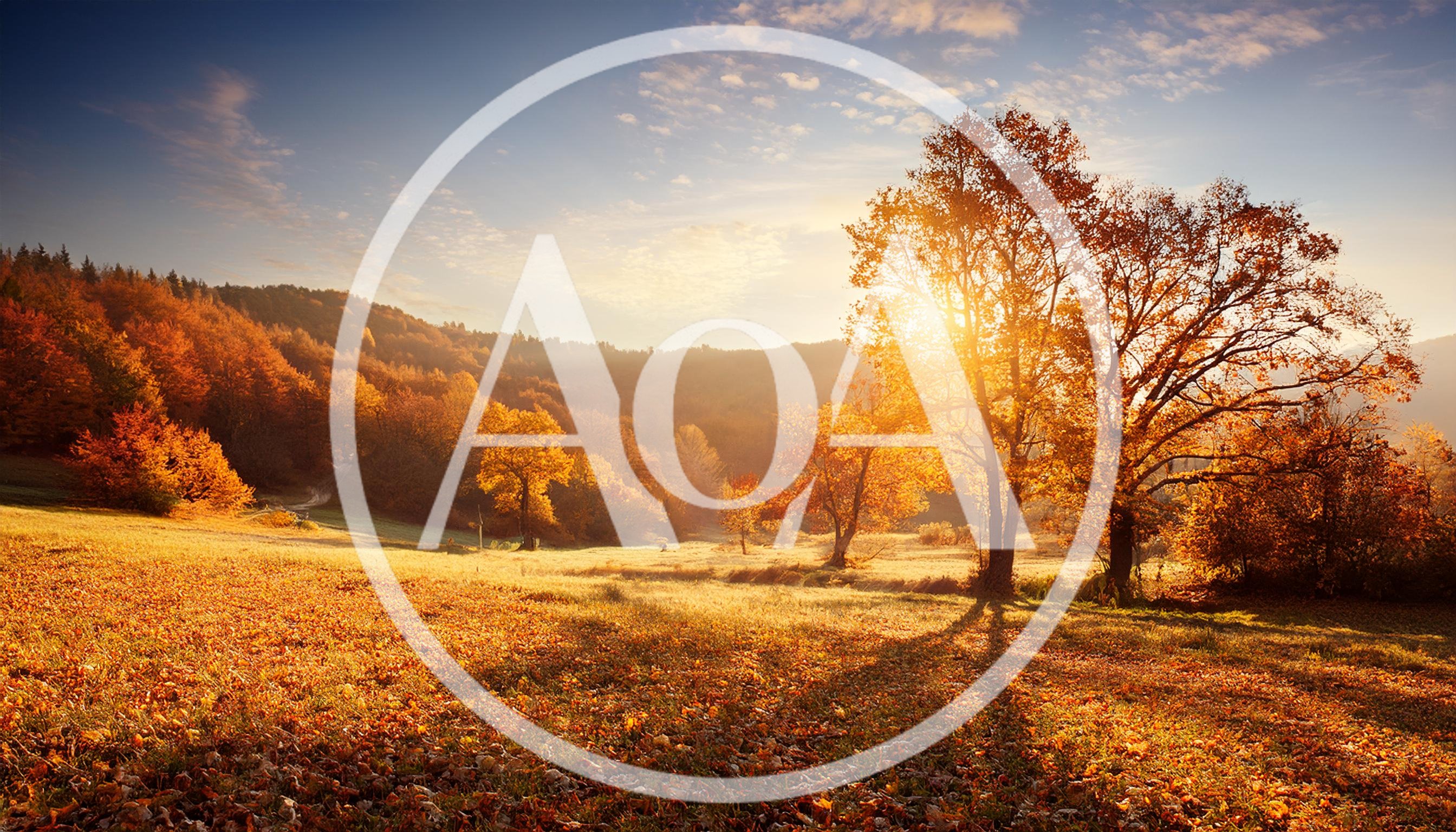 Golden Autumn Landscape With Sunlit Trees And Fallen Leaves