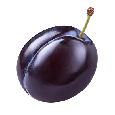 Single Fresh Ripe Purple Plum With Stem