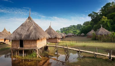 Traditional Stilt Houses In A Tropical Wetland Village