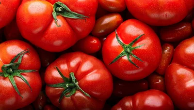 Fresh Red Tomatoes With Green Stems Background