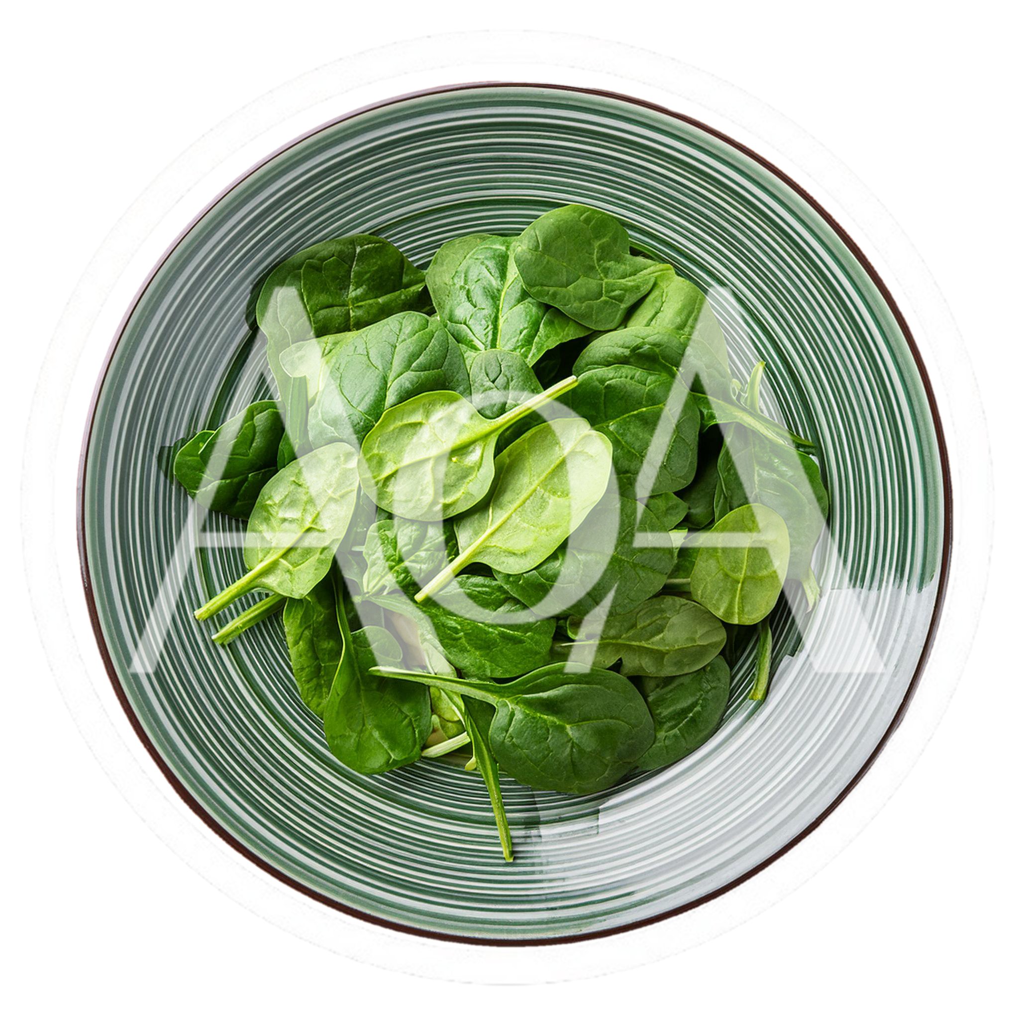 Fresh Green Spinach Leaves In A Striped Bowl
