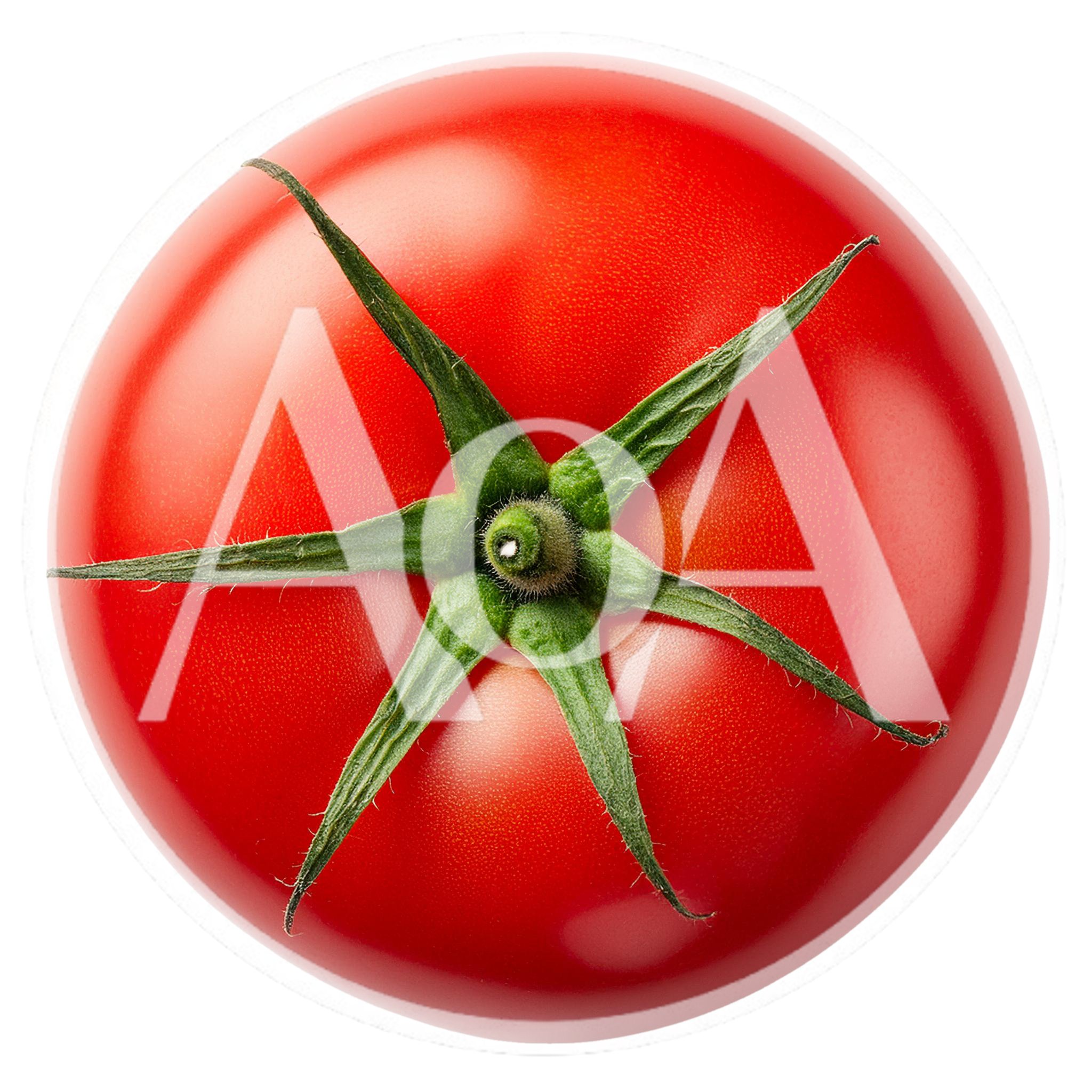Fresh Red Tomato With Green Stem Isolated