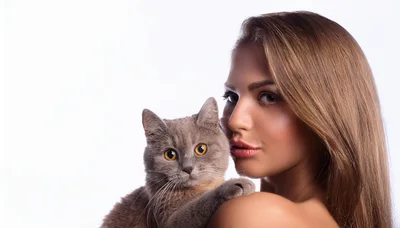 Beautiful Young Woman Holding A Grey British Shorthair Cat