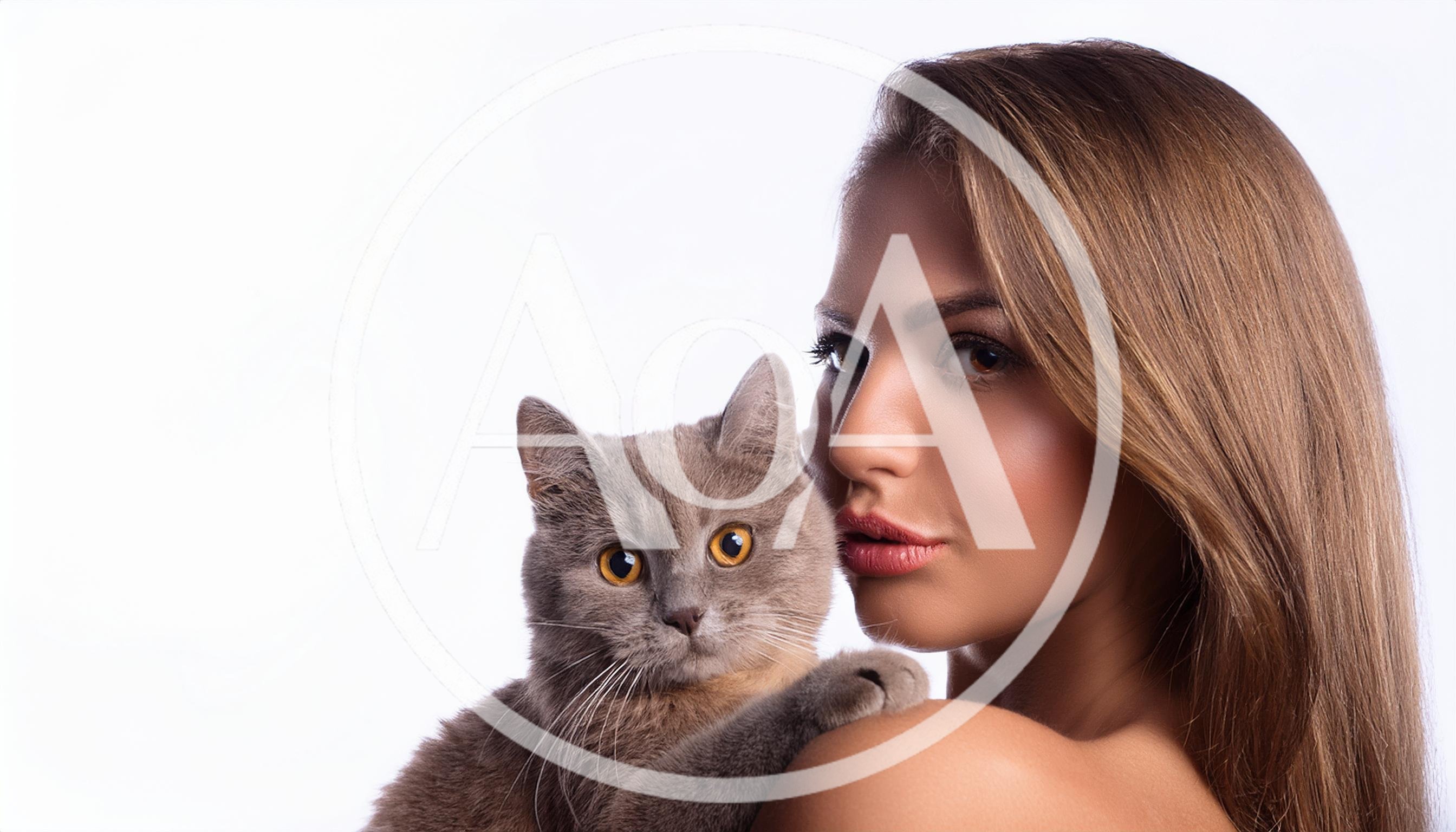 Beautiful Young Woman Holding A Grey British Shorthair Cat