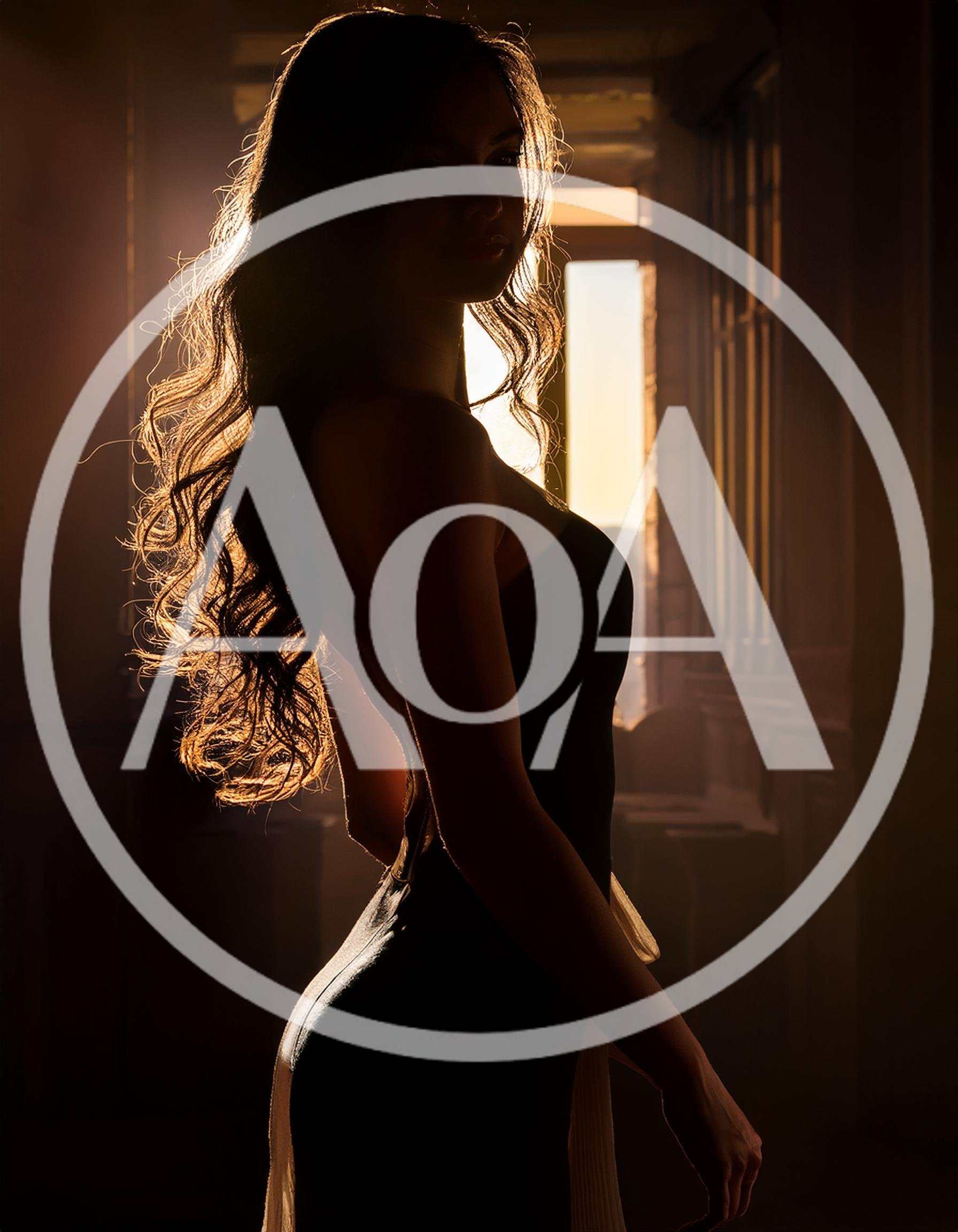 Silhouette Of A Woman In A Backlit Room