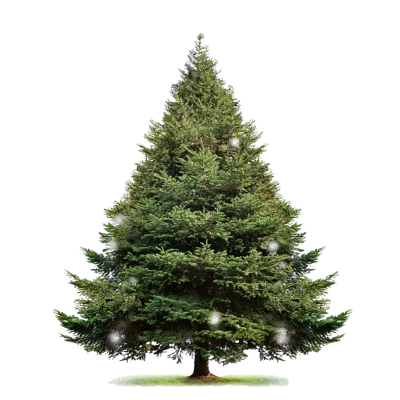 Isolated Christmas Tree With Subtle Snowfall Effect