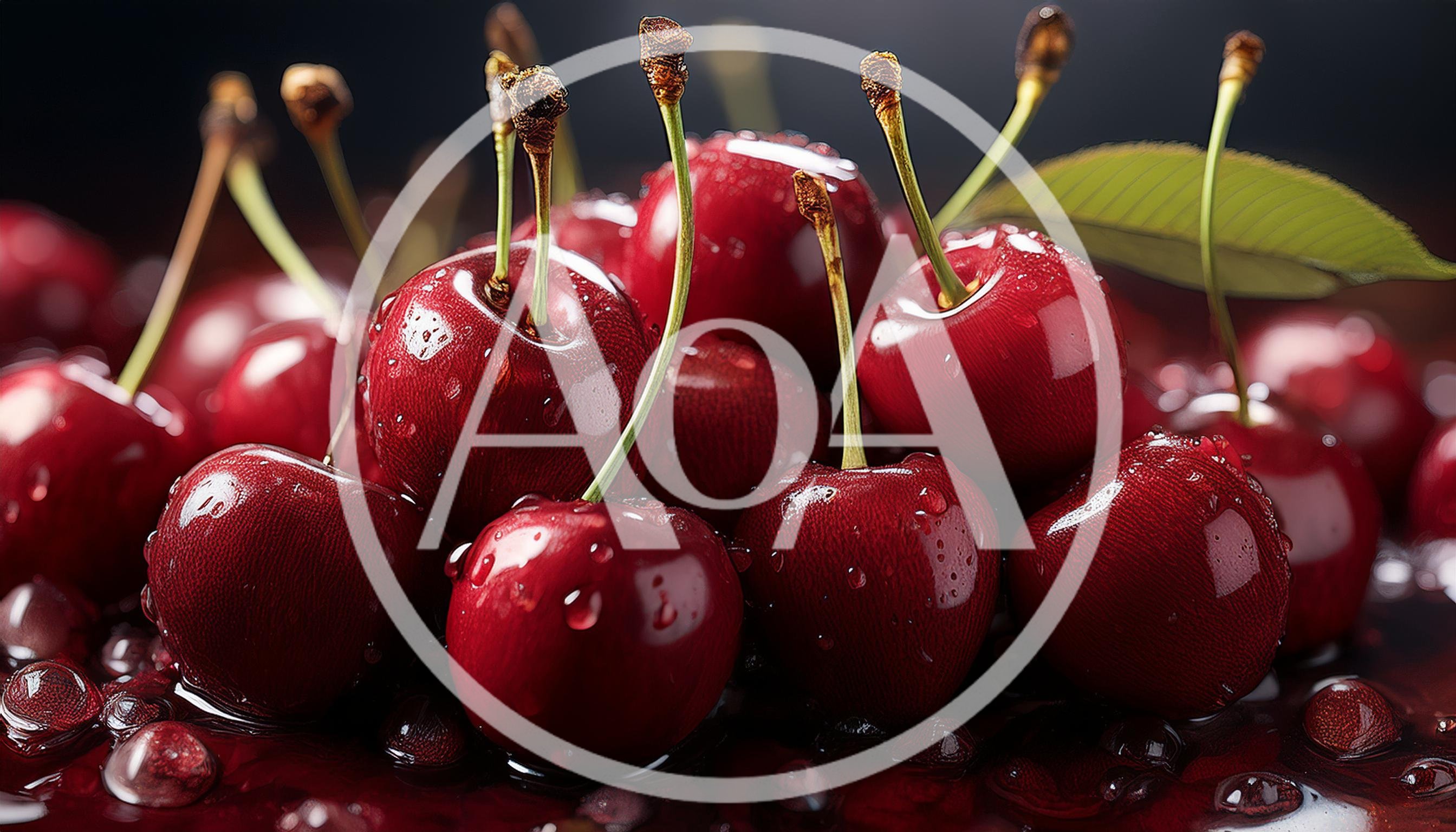 Fresh Ripe Cherries With Water Droplets
