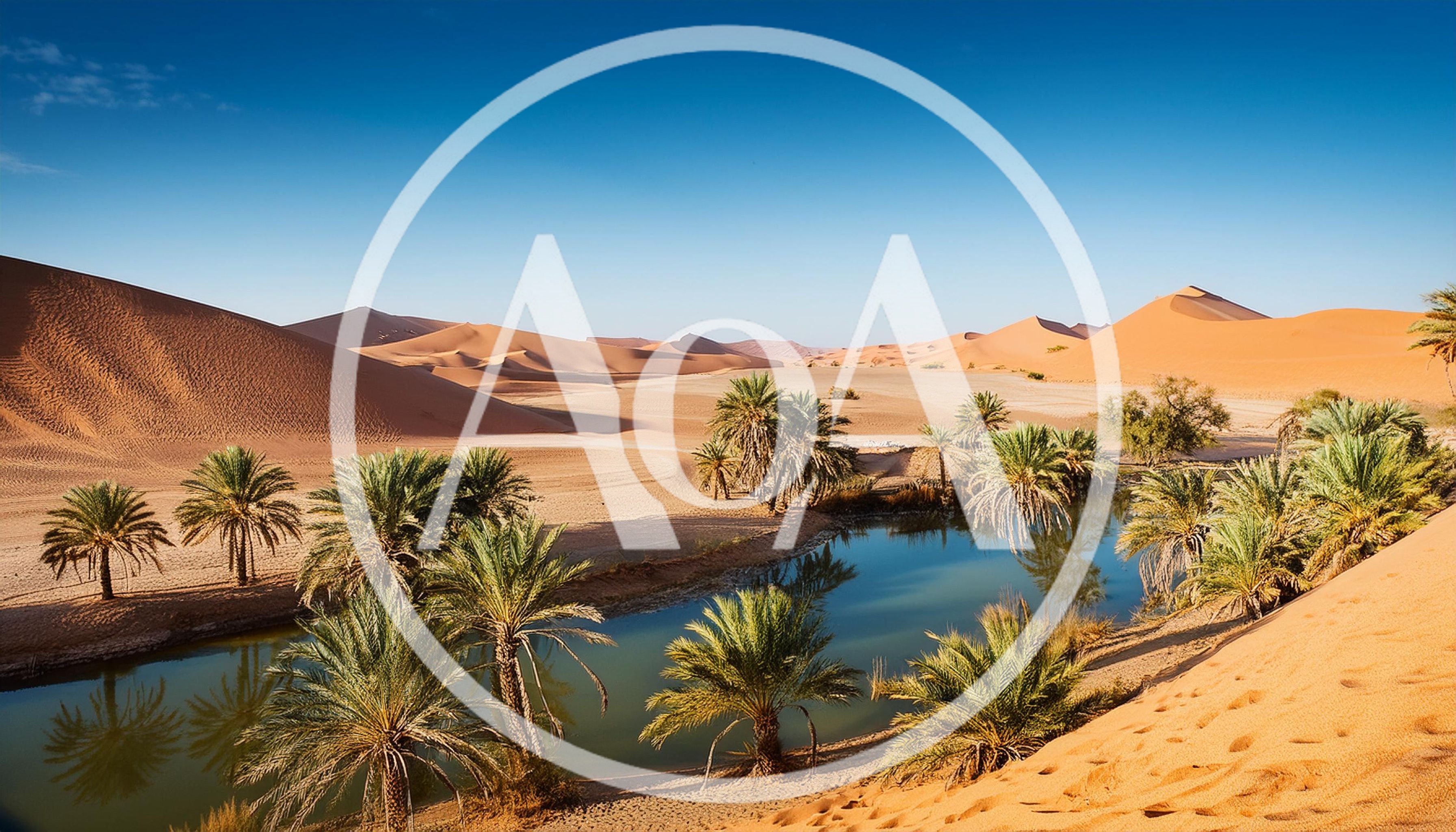 Oasis With Palm Trees In The Sahara Desert